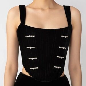 SAU LEE 'Venus' Velvet Top (NWT)